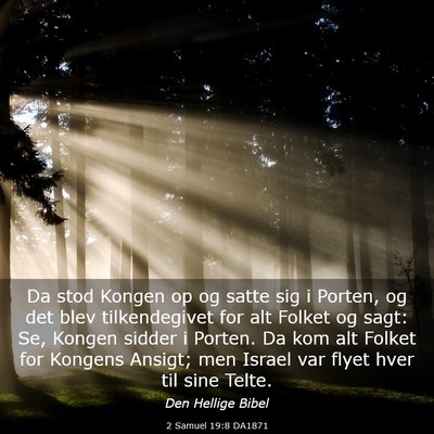 Picture 03 - 2 Samuel 19:8 DA1871 - Da stod Kongen op og satte sig i Porten, og det - Bible Verse Picture