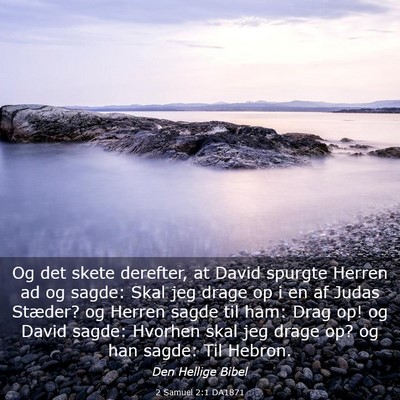 Picture 03 - 2 Samuel 2:1 DA1871 - Og det skete derefter, at David spurgte Herren ad - Bible Verse Picture