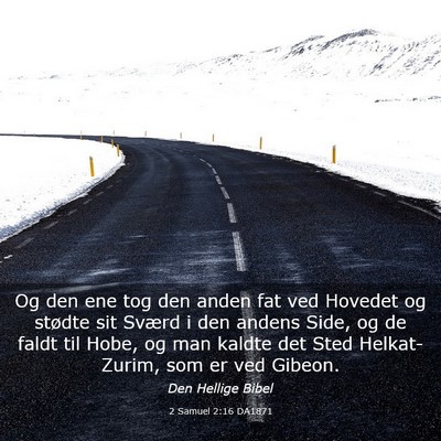 Picture 03 - 2 Samuel 2:16 DA1871 - Og den ene tog den anden fat ved Hovedet og - Bible Verse Picture