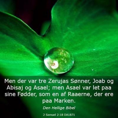 Picture 03 - 2 Samuel 2:18 DA1871 - Men der var tre Zerujas Sønner, Joab og Abisaj - Bible Verse Picture