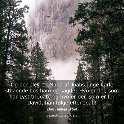 Picture 03 - 2 Samuel 20:11 DA1871 - Og der blev en Mand af Joabs unge Karle staaende - Bible Verse Picture