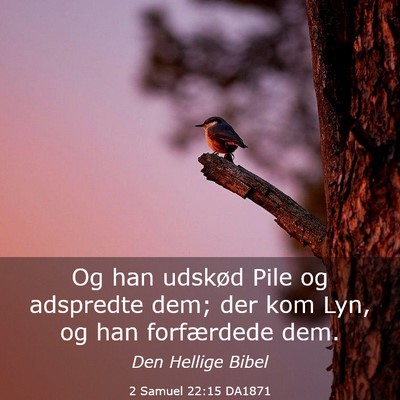 Picture 03 - 2 Samuel 22:15 DA1871 - Og han udskød Pile og adspredte dem; der kom - Bible Verse Picture