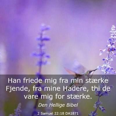 Picture 03 - 2 Samuel 22:18 DA1871 - Han friede mig fra min stærke Fjende, fra mine - Bible Verse Picture