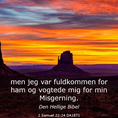 Picture 03 - 2 Samuel 22:24 DA1871 - men jeg var fuldkommen for ham og vogtede mig for - Bible Verse Picture
