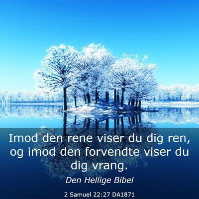 Picture 03 - 2 Samuel 22:27 DA1871 - Imod den rene viser du dig ren, og imod den - Bible Verse Picture