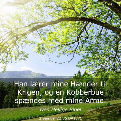 Picture 03 - 2 Samuel 22:35 DA1871 - Han lærer mine Hænder til Krigen, og en - Bible Verse Picture