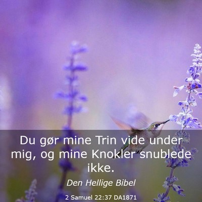 Picture 03 - 2 Samuel 22:37 DA1871 - Du gør mine Trin vide under mig, og mine Knokler - Bible Verse Picture