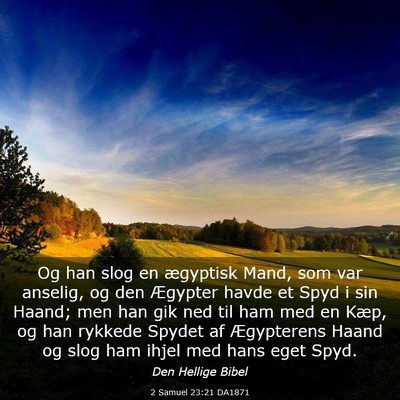 Picture 03 - 2 Samuel 23:21 DA1871 - Og han slog en ægyptisk Mand, som var anselig, - Bible Verse Picture