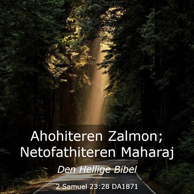 Picture 03 - 2 Samuel 23:28 DA1871 - Ahohiteren Zalmon; Netofathiteren - Bible Verse Picture