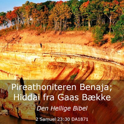 Picture 03 - 2 Samuel 23:30 DA1871 - Pireathoniteren Benaja; Hiddai fra Gaas - Bible Verse Picture