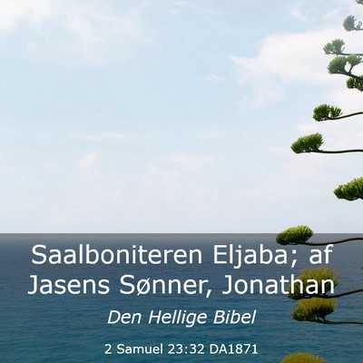 Picture 03 - 2 Samuel 23:32 DA1871 - Saalboniteren Eljaba; af Jasens Sønner, - Bible Verse Picture