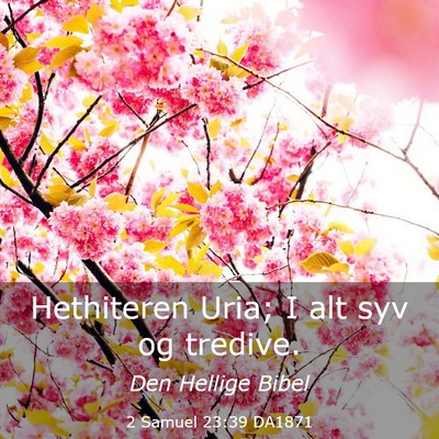 Picture 03 - 2 Samuel 23:39 DA1871 - Hethiteren Uria; I alt syv og - Bible Verse Picture