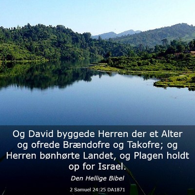 Picture 03 - 2 Samuel 24:25 DA1871 - Og David byggede Herren der et Alter og ofrede - Bible Verse Picture