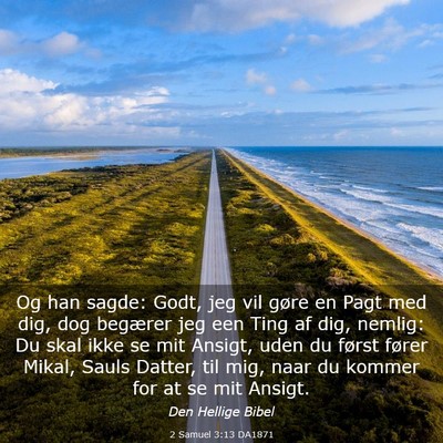 Picture 03 - 2 Samuel 3:13 DA1871 - Og han sagde: Godt, jeg vil gøre en Pagt med - Bible Verse Picture