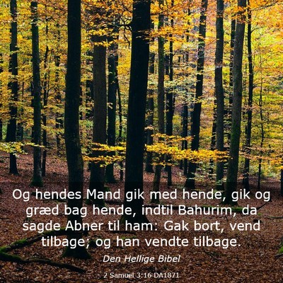 Picture 03 - 2 Samuel 3:16 DA1871 - Og hendes Mand gik med hende, gik og græd bag - Bible Verse Picture