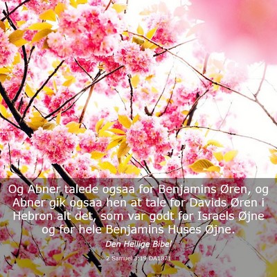 Picture 03 - 2 Samuel 3:19 DA1871 - Og Abner talede ogsaa for Benjamins Øren, og - Bible Verse Picture