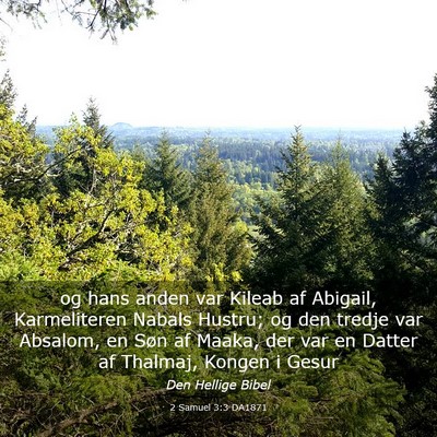 Picture 03 - 2 Samuel 3:3 DA1871 - og hans anden var Kileab af Abigail, Karmeliteren - Bible Verse Picture