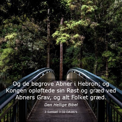 Picture 03 - 2 Samuel 3:32 DA1871 - Og de begrove Abner i Hebron; og Kongen - Bible Verse Picture