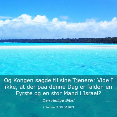 Picture 03 - 2 Samuel 3:38 DA1871 - Og Kongen sagde til sine Tjenere: Vide I ikke, at - Bible Verse Picture