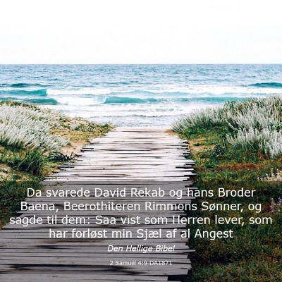 Picture 03 - 2 Samuel 4:9 DA1871 - Da svarede David Rekab og hans Broder Baena, - Bible Verse Picture