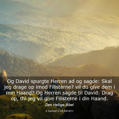 Picture 03 - 2 Samuel 5:19 DA1871 - Og David spurgte Herren ad og sagde: Skal jeg - Bible Verse Picture
