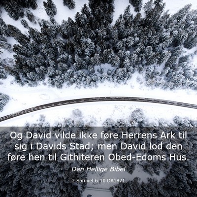Picture 03 - 2 Samuel 6:10 DA1871 - Og David vilde ikke føre Herrens Ark til sig i - Bible Verse Picture