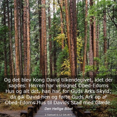 Picture 03 - 2 Samuel 6:12 DA1871 - Og det blev Kong David tilkendegivet, idet der - Bible Verse Picture
