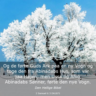 Picture 03 - 2 Samuel 6:3 DA1871 - Og de førte Guds Ark paa en ny Vogn og toge den - Bible Verse Picture