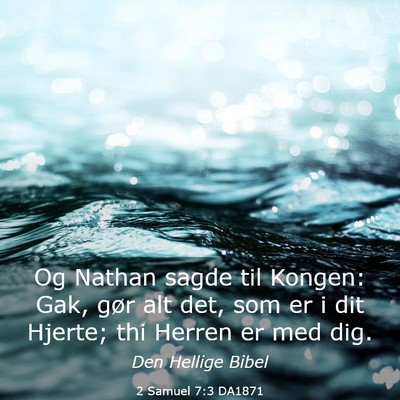 Picture 03 - 2 Samuel 7:3 DA1871 - Og Nathan sagde til Kongen: Gak, gør alt det, - Bible Verse Picture