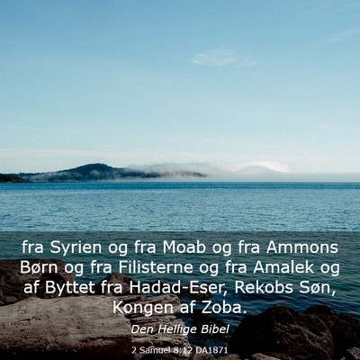 Picture 03 - 2 Samuel 8:12 DA1871 - fra Syrien og fra Moab og fra Ammons Børn og fra - Bible Verse Picture