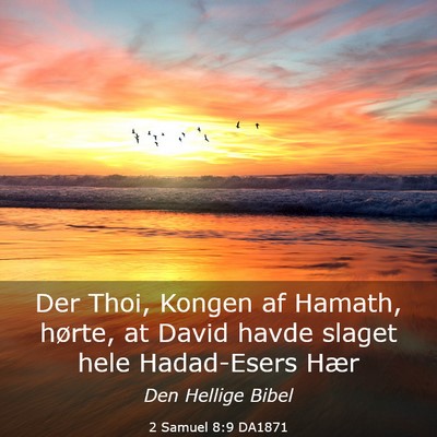 Picture 03 - 2 Samuel 8:9 DA1871 - Der Thoi, Kongen af Hamath, hørte, at David - Bible Verse Picture