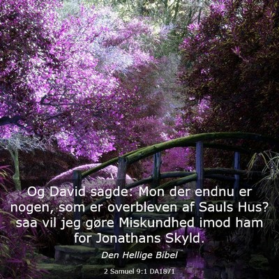 Picture 03 - 2 Samuel 9:1 DA1871 - Og David sagde: Mon der endnu er nogen, som er - Bible Verse Picture