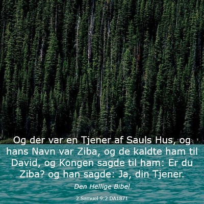 Picture 03 - 2 Samuel 9:2 DA1871 - Og der var en Tjener af Sauls Hus, og hans Navn - Bible Verse Picture