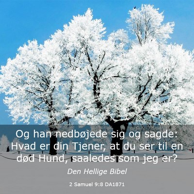 Picture 03 - 2 Samuel 9:8 DA1871 - Og han nedbøjede sig og sagde: Hvad er din - Bible Verse Picture