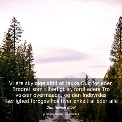 Picture 03 - 2 Tessalonikerne 1:3 DA1871 - Vi ere skyldige altid at takke Gud for eder, - Bible Verse Picture