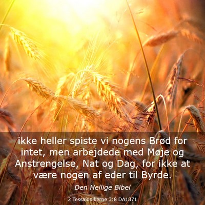 Picture 03 - 2 Tessalonikerne 3:8 DA1871 - ikke heller spiste vi nogens Brød for intet, men - Bible Verse Picture