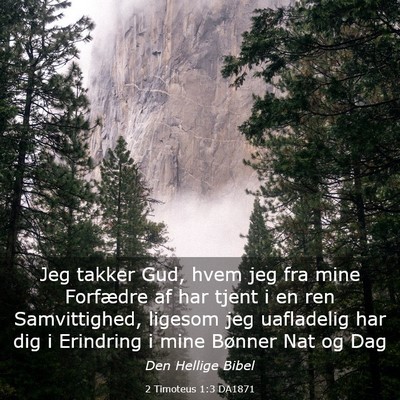 Picture 03 - 2 Timoteus 1:3 DA1871 - Jeg takker Gud, hvem jeg fra mine Forfædre af - Bible Verse Picture