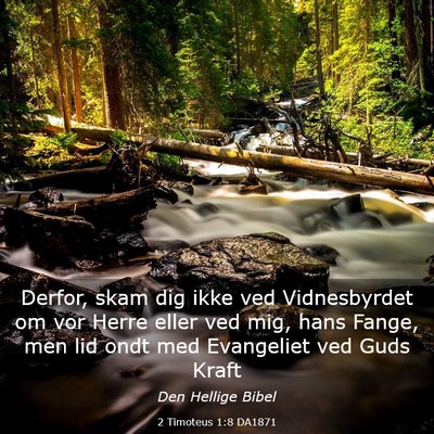 Picture 03 - 2 Timoteus 1:8 DA1871 - Derfor, skam dig ikke ved Vidnesbyrdet om vor - Bible Verse Picture