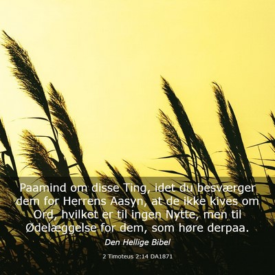Picture 03 - 2 Timoteus 2:14 DA1871 - Paamind om disse Ting, idet du besværger dem for - Bible Verse Picture
