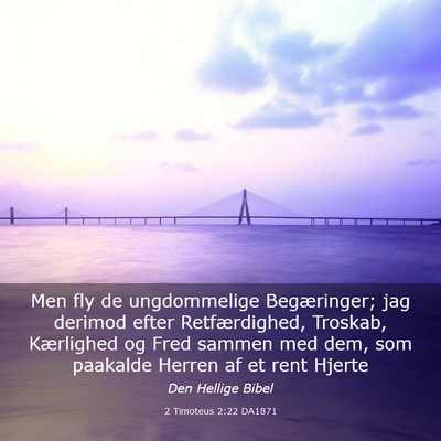 Picture 03 - 2 Timoteus 2:22 DA1871 - Men fly de ungdommelige Begæringer; jag derimod - Bible Verse Picture