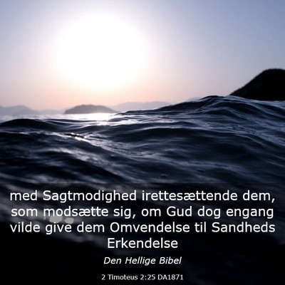 Picture 03 - 2 Timoteus 2:25 DA1871 - med Sagtmodighed irettesættende dem, som - Bible Verse Picture
