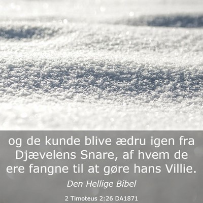 Picture 03 - 2 Timoteus 2:26 DA1871 - og de kunde blive ædru igen fra Djævelens - Bible Verse Picture