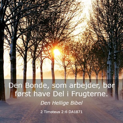 Picture 03 - 2 Timoteus 2:6 DA1871 - Den Bonde, som arbejder, bør først have Del i - Bible Verse Picture