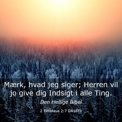 Picture 03 - 2 Timoteus 2:7 DA1871 - Mærk, hvad jeg siger; Herren vil jo give dig - Bible Verse Picture