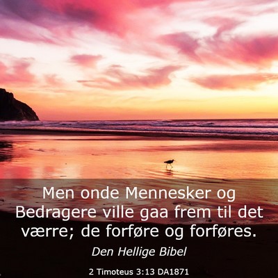 Picture 03 - 2 Timoteus 3:13 DA1871 - Men onde Mennesker og Bedragere ville gaa frem - Bible Verse Picture
