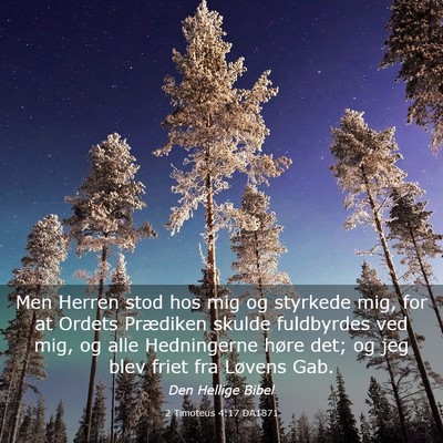 Picture 03 - 2 Timoteus 4:17 DA1871 - Men Herren stod hos mig og styrkede mig, for at - Bible Verse Picture