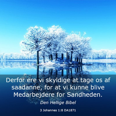 Picture 03 - 3 Johannes 1:8 DA1871 - Derfor ere vi skyldige at tage os af saadanne, - Bible Verse Picture
