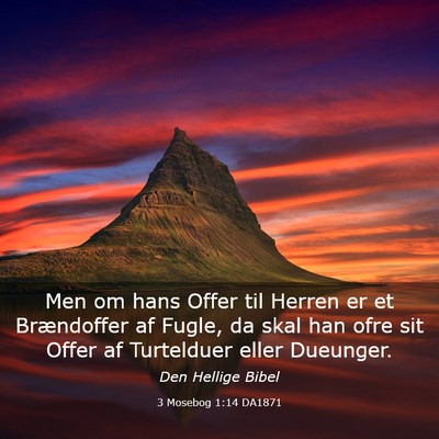 Picture 03 - 3 Mosebog 1:14 DA1871 - Men om hans Offer til Herren er et Brændoffer af - Bible Verse Picture