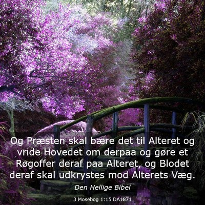 Picture 03 - 3 Mosebog 1:15 DA1871 - Og Præsten skal bære det til Alteret og vride - Bible Verse Picture