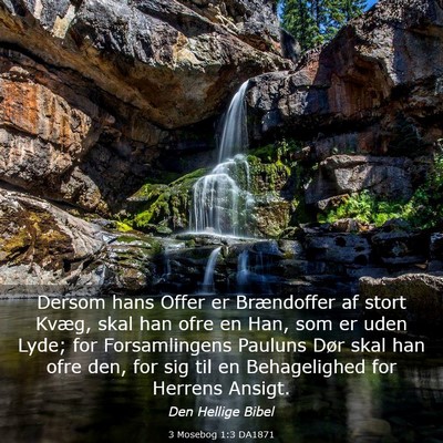 Picture 03 - 3 Mosebog 1:3 DA1871 - Dersom hans Offer er Brændoffer af stort Kvæg, - Bible Verse Picture